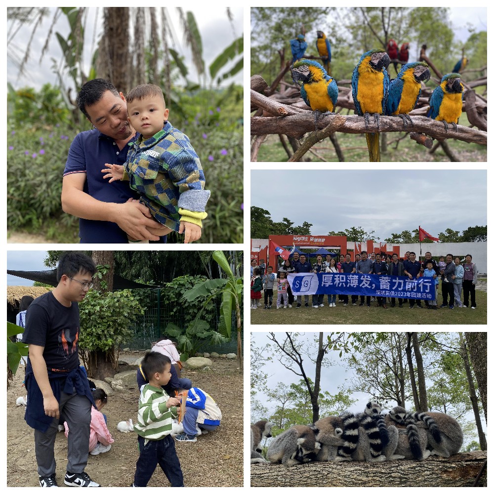 厚積薄發(fā)，蓄力前行：大手牽小手，共圓實(shí)佳夢(mèng)