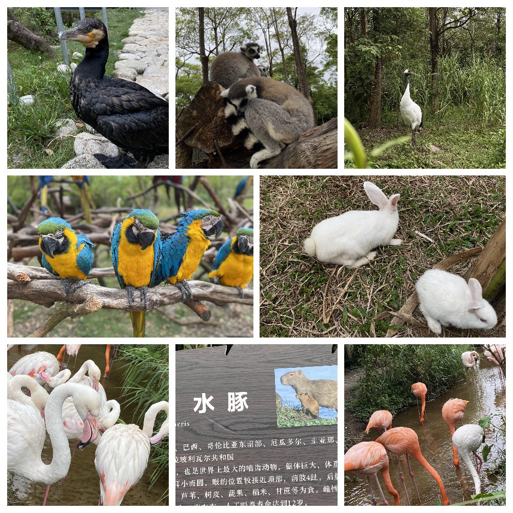 厚積薄發(fā)，蓄力前行：大手牽小手，共圓實(shí)佳夢(mèng)